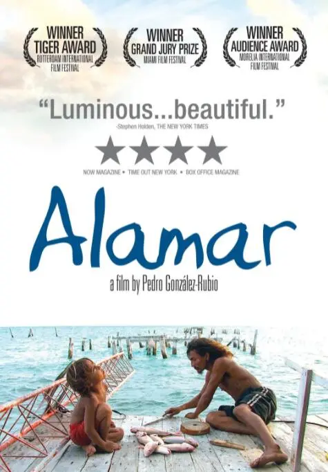 《拥抱大海》影评：一场关于救赎与重生的蓝色史诗，治愈你的心灵！