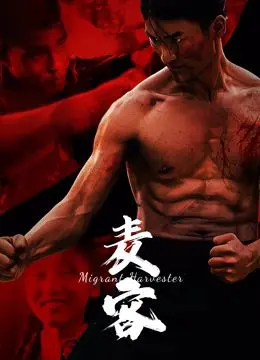 《麦客》影评：黄土高原上的生命史诗，坚韧与希望的赞歌