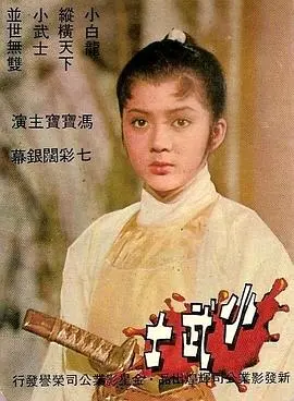 《小武士》：热血少年逐梦记，一场关于勇气与成长的冒险之旅！