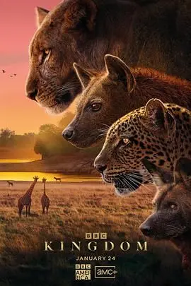 《动物王国》普通话版影评：一场基因突变的生存游戏，谁能笑着活到最后？