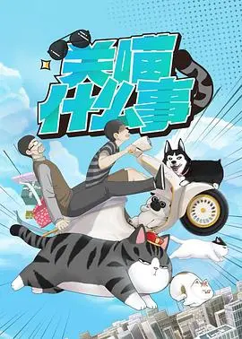 解密《关喵什么事》：一部融合历史人文和纪录片的猫咪奇妙之旅，你想不到的深度探索？