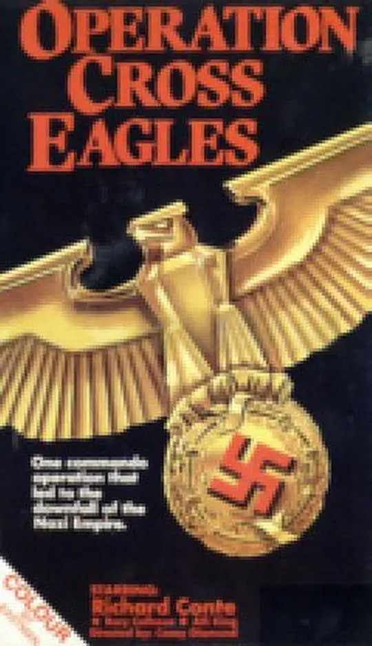 《十字鹰行动》：惊险刺激的反恐战争，正义与邪恶的终极对决！