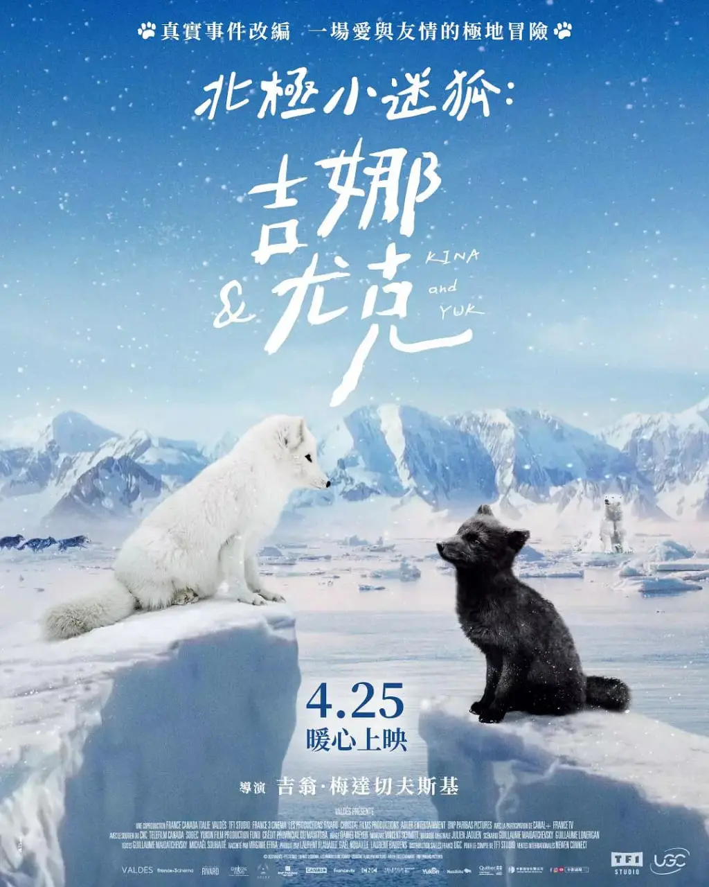 《北极小迷狐吉娜，尤克》：冰原上的治愈童话，纯真友情穿越雪域的奇遇之旅